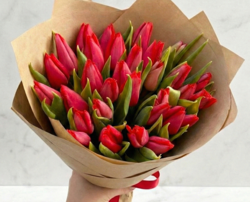 Tulipanes Pure