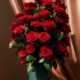 Rosas Royal